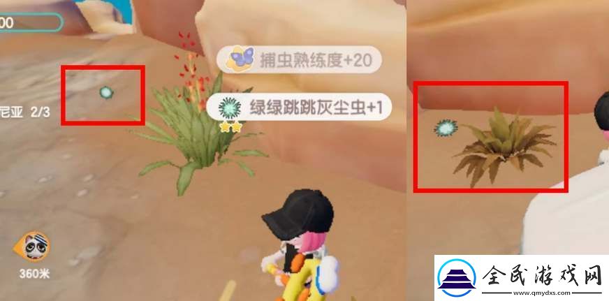 心動小鎮奇靈季灰塵蟲捕捉攻略