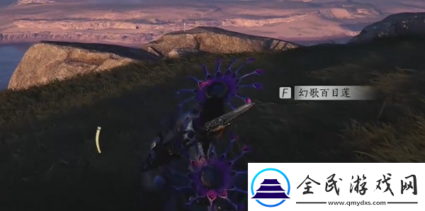 燕云十六聲臨江驛蹊蹺收集攻略