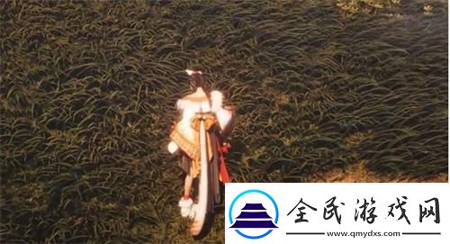 燕云十六聲雙劍流怎么玩