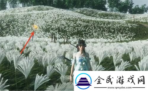燕云十六聲寶箱怎么顯示