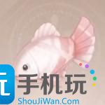 無限暖暖手絹魚在哪