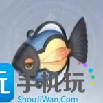 無限暖暖提燈魚在哪